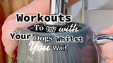 Doggie gains 💪🏼 would you try this with your pets?  LearnOnTikTok dogs whilstyouwait dogworkout