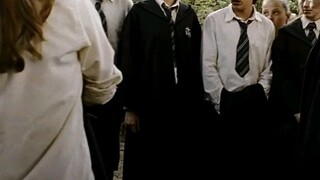 Có bạn nào mê harry potter giống mị ko