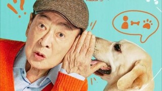 K-drama Dog ķnows everything ep 2 sub indo