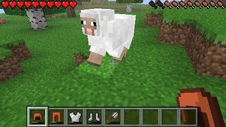 Minecraft PSP Edition 2.7 Showcase (Read Description)