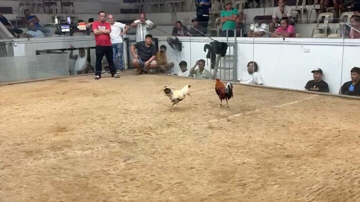 Kearny Whitehackle 🔥. Champion ulit tayo.