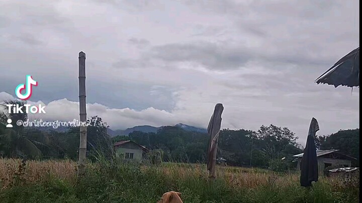 I hope he can be found and brought home, our dog has been missing for a long time.