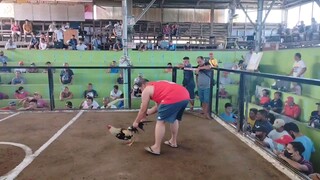 1st fight