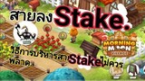 ::Morning Moon Village:: สาStakeควรต้องฟัง..เทคนิคการstake