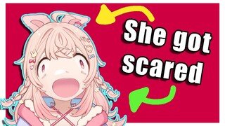 Jumpscare now