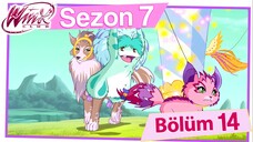 Winx Club - Sezon 7 Bölüm 14 - Tynix Dönüşümü