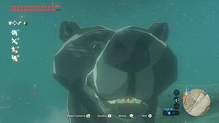 Strange Things I Find in Zelda