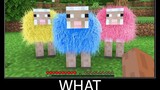 Minecraft รอสิ่งที่ meme part 64 สมจริง minecraft แกะขนสี