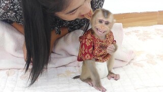 Wow Mom Play Bite Ear Gently With Adorable Baby Monkey Maku after drinking Milk