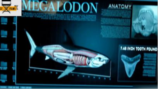 Siêu Cá Mập Megalodon Ăn Thịt Người  review phim Cá Mập Siêu Bạo Chúa 4 #phimhanhdong