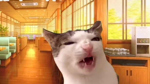 【Cat meme】The story of following Aunt Aquaman to eat delicious food and drink spicy food
