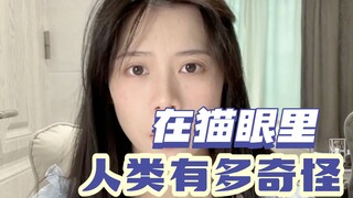 在猫眼里，主人是只傻猫