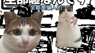 【熟/猫meme】名侦探猫妈妈与奇怪的邻居（4）