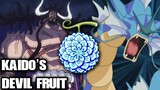 Kaido's Devil Fruit Explained / One Piece Chapter 999