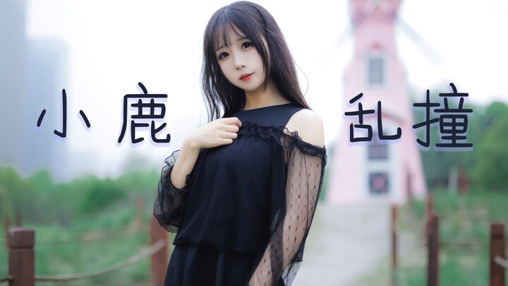 【总裁菲】小鹿乱撞-想要做你女朋友