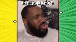 เรื่องตลกสุดฮา : เลียนแบบแมวที่บ้าน