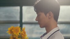 [Bilingual] SUMIN menyanyikan OST cinta yang gagal "Bahasa", menunjukkan asamnya lagu cinta