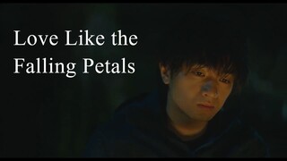 Love Like the Falling Petals | Japanese Movie 2022