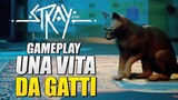 Stray: Gameplay (da gatti) dell'esclusiva PlayStation