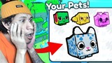 Doodle Pets In Pet Simulator X New Update | Roblox