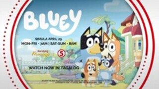 Bluey Simula April 29 Mon Fri 7am Sat Sun 8am TV5 Kids Philippines Live Sneak Peek Today