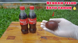 SATU TAHUN!!.. TELUR DIRENDAM COCA-COLA, Hasil Experiment Yang Tak Terduga