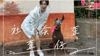 【双面偶像丨袁雨桢】你送一个好苗子，八年还你一个好摇子