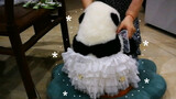 Panda He Hua: Boneka dengan Gaun Tumpuk