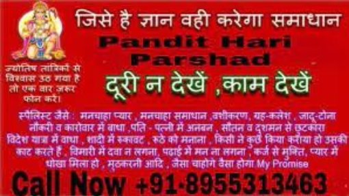 LOve Astrology Service Delhi +91-8955313463