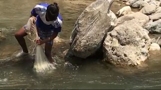 cast net fishing in Nepal | asala fishing | himalayan trout fishing |