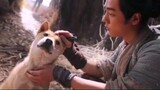 [ภาพยนตร์สุนัขอภิบาลจีน Zhu Xian] คุณสมบัติพิเศษของ Zhang Xiaofan รับบทโดย Xiao Zhan นอกจากนี้ยังมีร