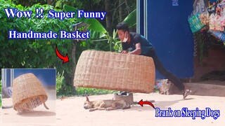 Wow!! New Prank | Handmade Basket Prank on Sleeping Dog | very Funny with try to stop Laugh! 😂 🤣