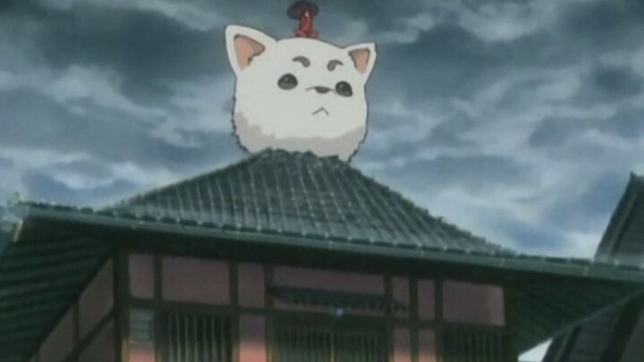 Gintama. Đinh Xuân khổng lồ!