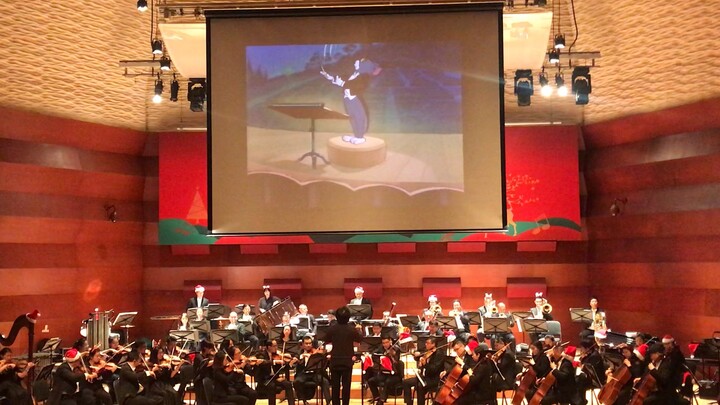 The live version of the "Tom and Jerry" symphony at the Grand Music Festival, our Tom is indeed a mu