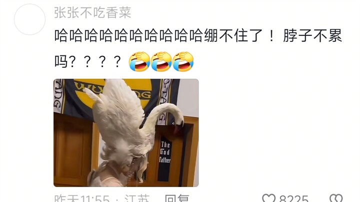 回家就像逛漫展，简直像是打开了异世界的大门，这什么家庭啊包容性这么强