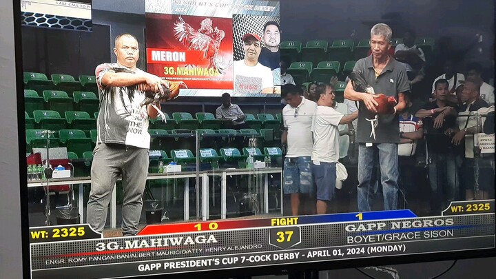 GAPP PRESIDENT'S 7COCK DERBY MANILA ARENA VS GAPP NEGROS 3RD FYT WIN