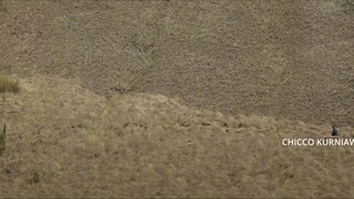 KUPU-KUPU KERTAS FULL MOVIE