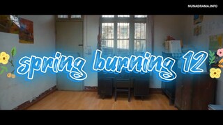 spring burning 12