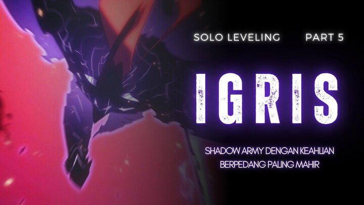 Igris Solo Leceling Chapter 12