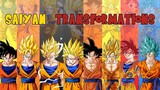 Every SAIYAN Transformation! | Dragon Ball Lore