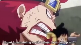 Khi Zoro và Kid ở tù