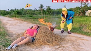 New Top Funny Comedy Video 2020 🤣 😂 Try Not To Laugh  - Episode 116 | Cười Bể Bụng