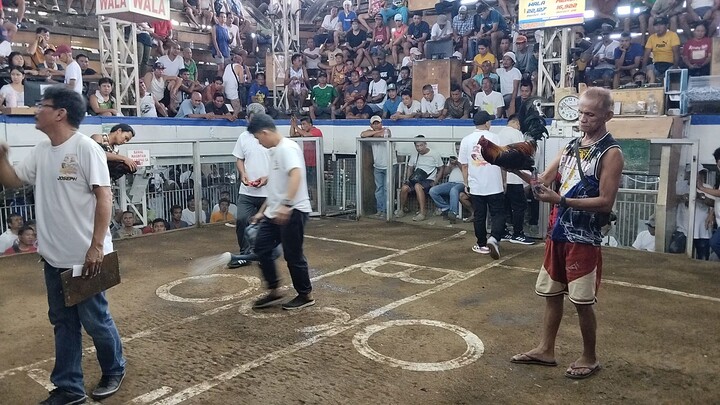 win taytay cockpit arena