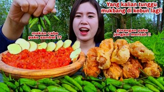 MAKAN PULUHAN CABE RAWIT MENTAH GORENGAN SOSIS LALAPAN JENGKOL MENTAH SAMBEL TERASI TANPA NASI