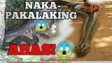 MALA HIGANTING Ahas Sa Sapa!/Kumakain na ng Tao😱/Matatakot Ka Talaga😭😱