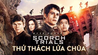 Vẫn là đám thiếu niên lạc trong mê cung nhưng lần này có lửa chùa | Recap Xàm #135: Maze Runner 2