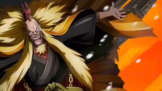 [Route Character Biography; Young Whitebeard]: Is your ultimate move full screen?