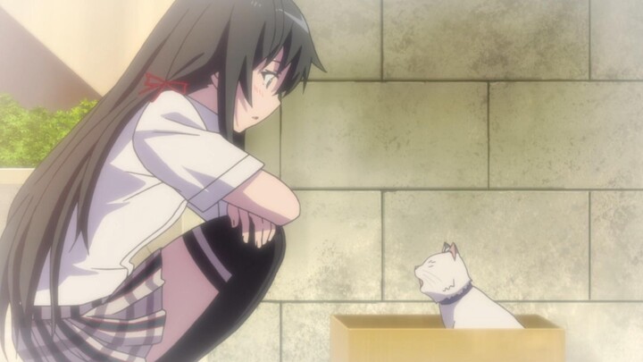 Harmono: Yukinoshita Yukino sombong seperti kucing... hmm...