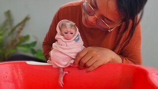 So Obedient baby monkey Luca keeps so manners & silently waiting for Mom to take a bath for him