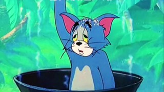 "Someone" Tom and Jerry version - Highlights